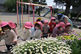 もも組の子どもたちが花いっぱいの花壇を見ています。