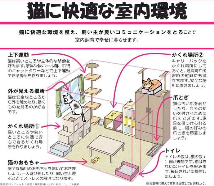 猫に快適な室内環境