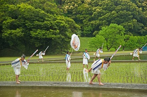 写真3
