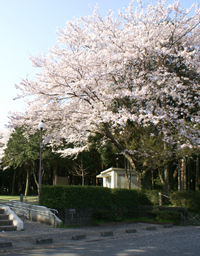 写真：離宮院公園