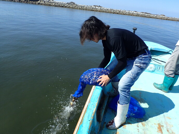 写真1