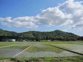 写真：風景