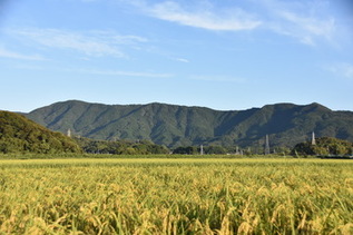 写真：朝熊山