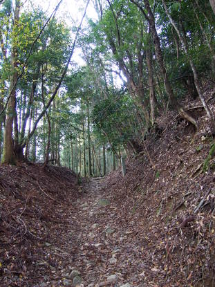 写真：登山道2