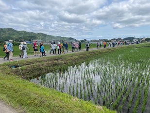 米山新田付近を歩いている参加者