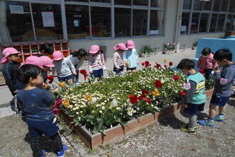 花壇のまわりに集まりチューリップを見る子どもたちの写真