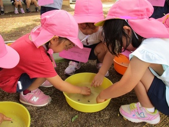 3歳児が虫を触っている写真