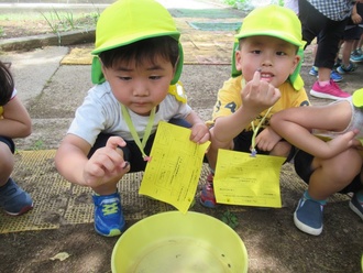 園児2人ががダンゴムシを触っている写真