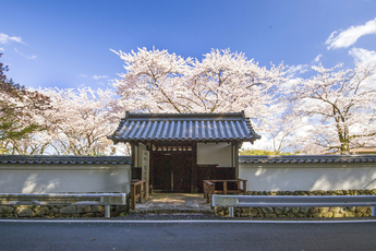 写真：旧豊宮崎文庫