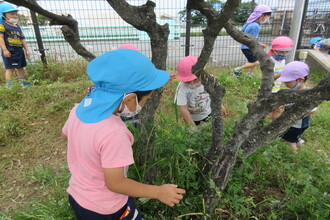 虫とりをしている子どもたち