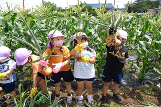 玉ねぎ収穫に喜ぶ子ども達。