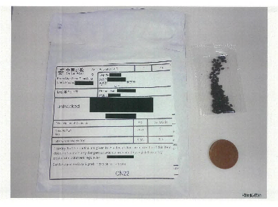 写真:届いた種子