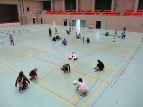 写真:コロコロボール遊びの様子