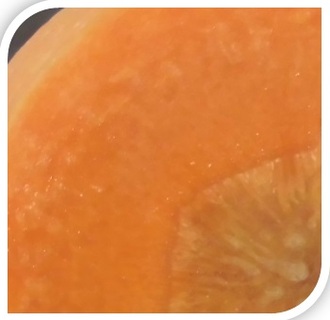 写真：断面はオレンジ色