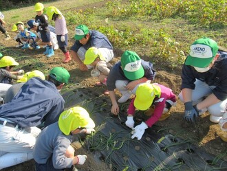 高校生と玉ねぎの苗を植える写真2