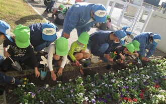 花壇に花を植えている園児の写真