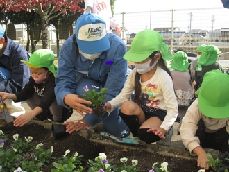 花の苗を植えている写真1