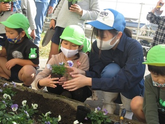 花の苗を植えている写真2