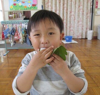 柏餅を食べる園児の写真