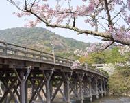 写真：内宮の宇治橋