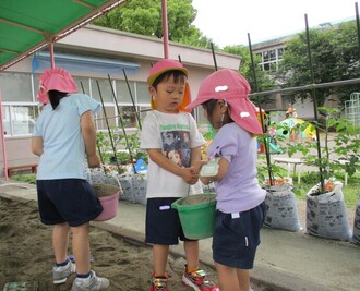 砂場で遊んでいる園児の写真2