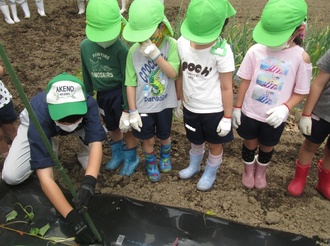 高校生からつるの植え方を聞く園児の写真