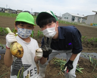 高校生と玉ねぎを持った園児の写真