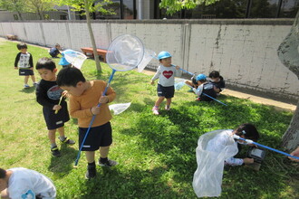 写真：こあら組虫とりを楽しむ子ども