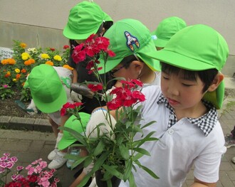 花を選ぶ園児の写真