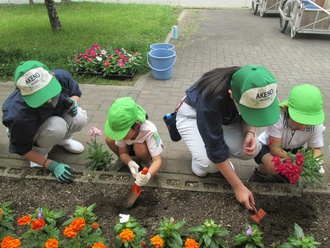 高校生と花を植える園児の写真