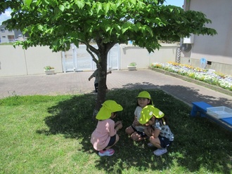 陰に入って遊ぶ園児の写真