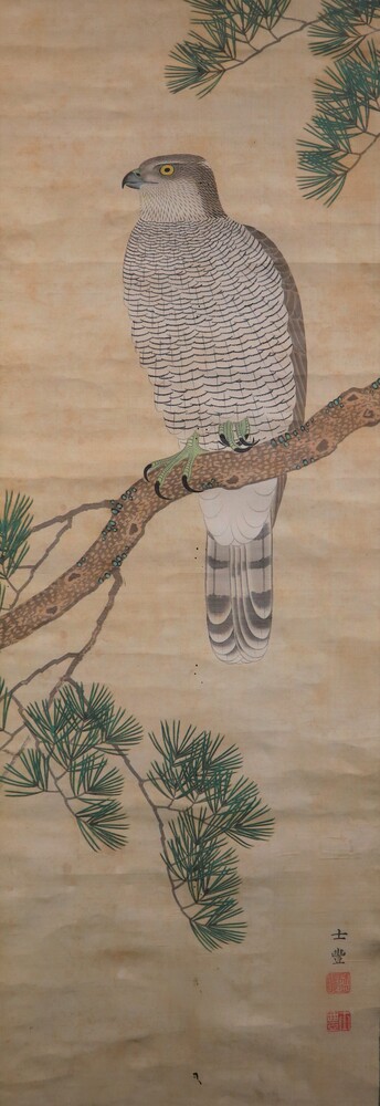画像:鷹図