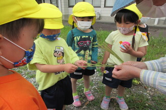 写真：草で遊ぶ園長と子ども