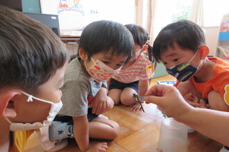 写真：トンボをみるばなな組の子ども達