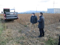 写真：大豆の収穫を視察するの様子