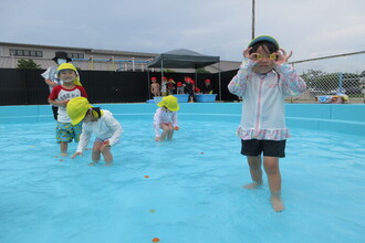 写真：プールでボール拾いをする子ども達