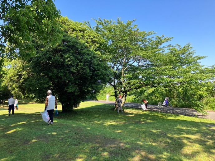 海ごみゼロ活動中の写真