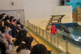 水族館のアシカショーを見ている親子