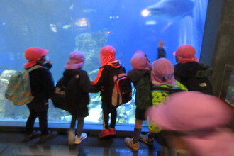 水族館で水槽の魚を見ている子ども達