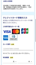 画像:表示画面イメージ