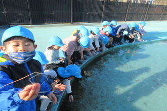 写真：氷をさわる子ども達