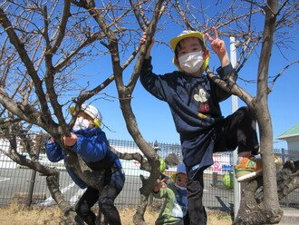 写真：木に登る子ども達