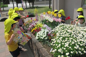 き組の子どもたち、花壇の花を見ながら絵本で名前を調べています。