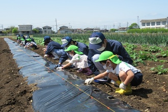 写真：高校生と一緒に種を蒔いているところ