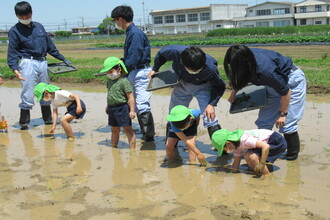 一生懸命苗を受ける子どもたち