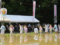 写真：会場の様子