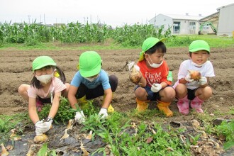 玉ねぎをおもいっきり引っぱっています。