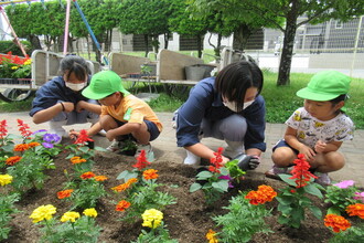 花壇に花を植えているところ