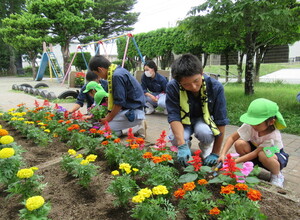 高校生のお兄さんと苗を植えています