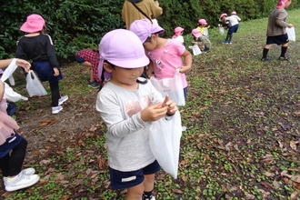 どんぐりや木の実、落ち葉拾いをする子ども達